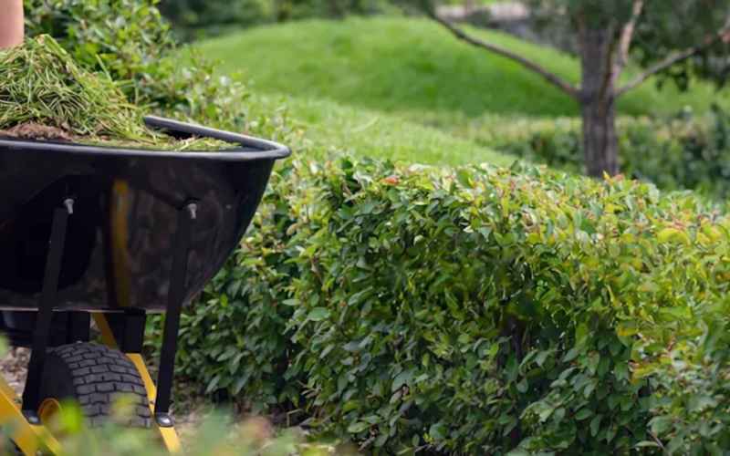 cleanup & garden maintenance